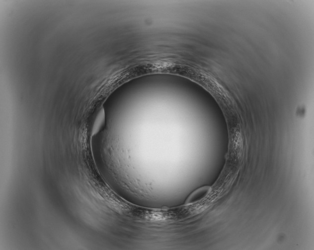 X0000096160565200801251130