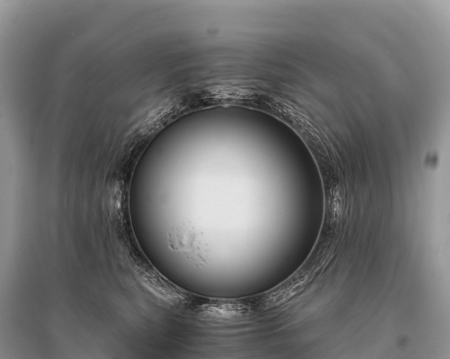 X0000096160567200801251130