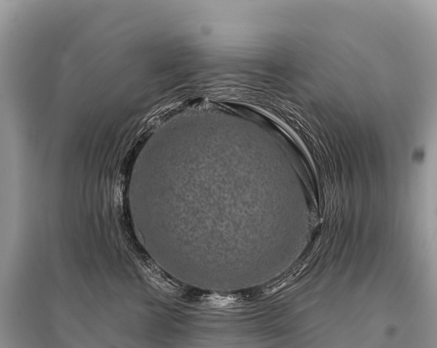 X0000096160570200801251130