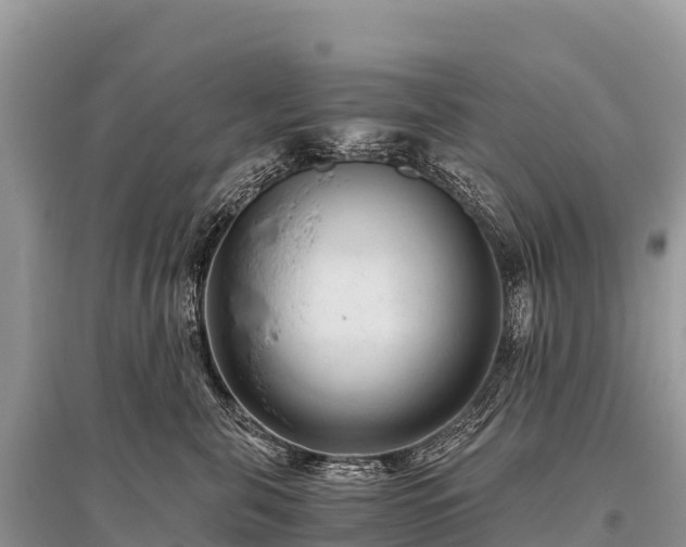 X0000096160571200801251130