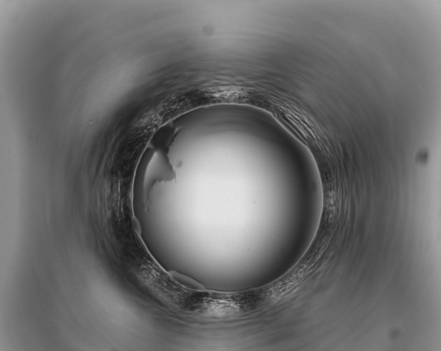 X0000096160572200801251130