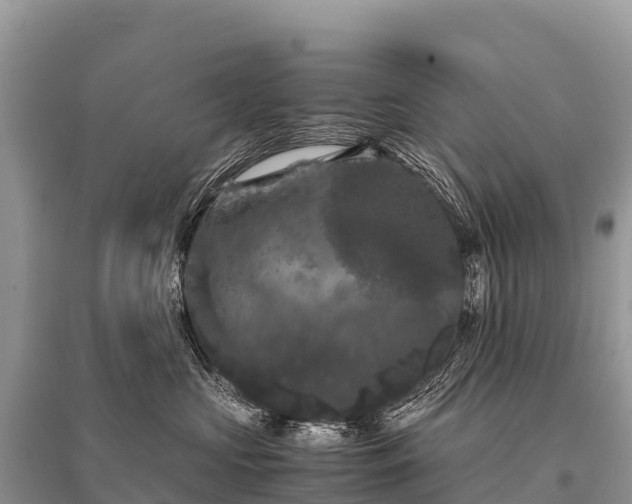 X0000096160573200801251130