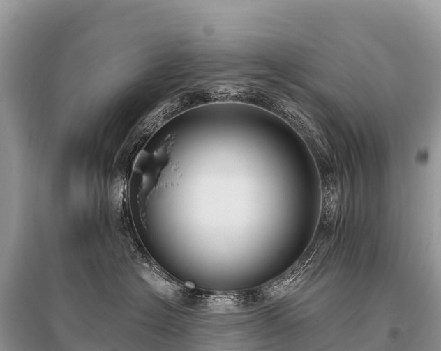 X0000096160574200801251130