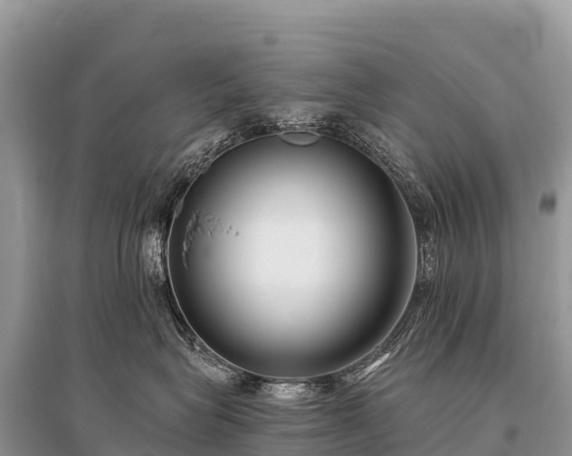 X0000096160575200801251130