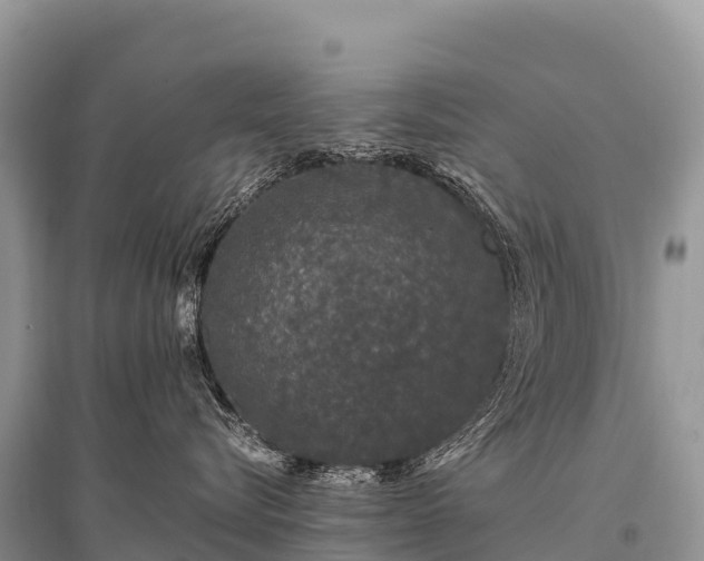 X0000096160576200801251130