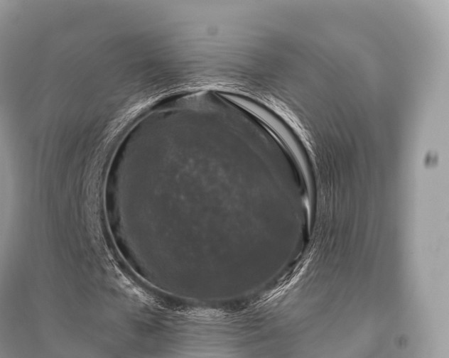 X0000096160577200801251129