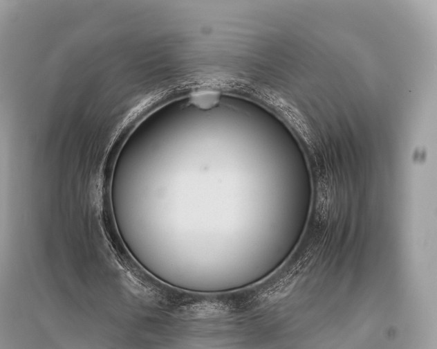 X0000096160578200801251129
