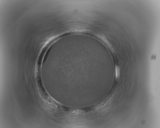 X0000096160579200801251129