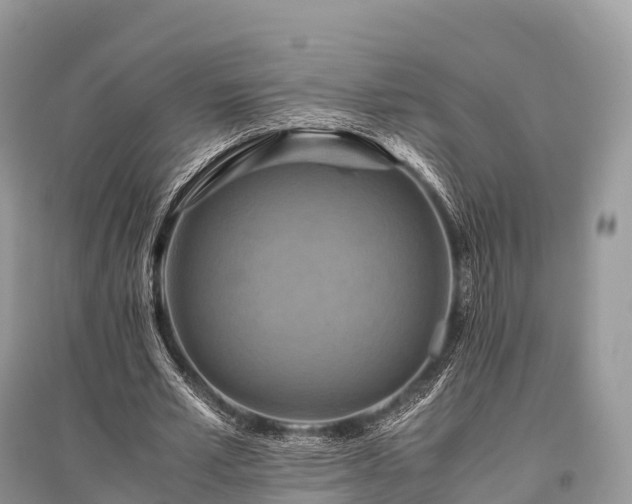 X0000096160581200801251129