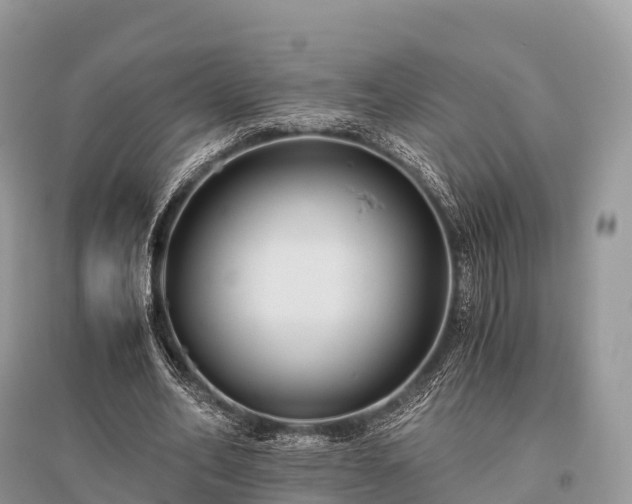 X0000096160582200801251129