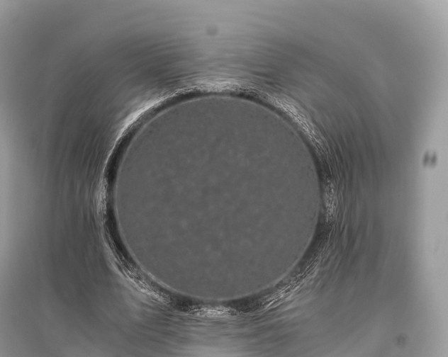 X0000096160583200801251129