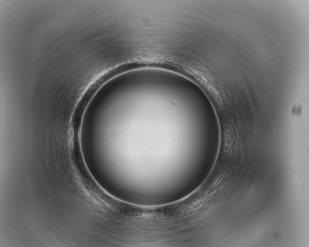 X0000096160584200801251129