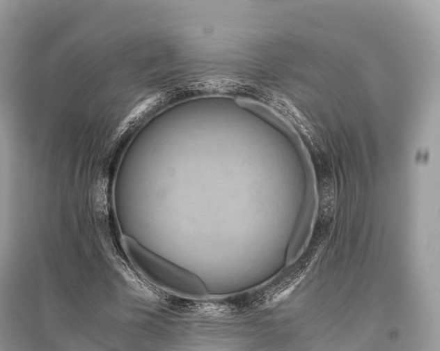 X0000096160585200801251129
