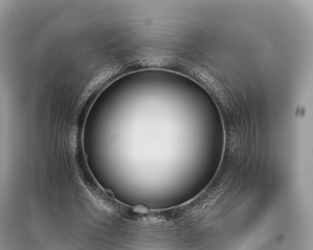 X0000096160586200801251129