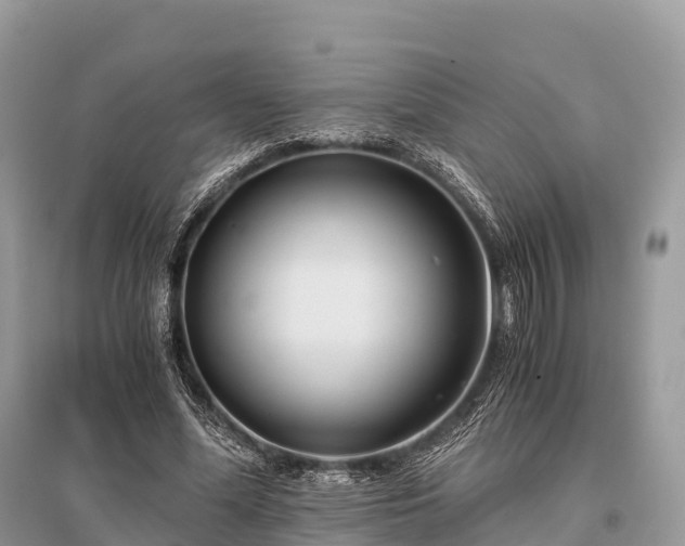 X0000096160588200801251129