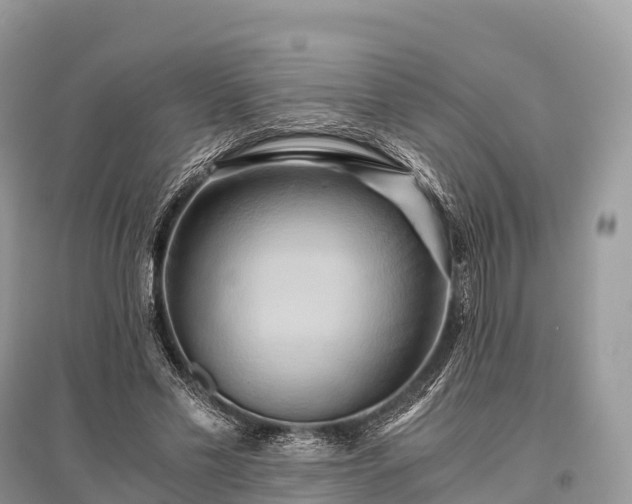 X0000096160589200801251129