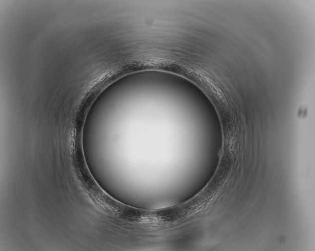 X0000096160591200801251129
