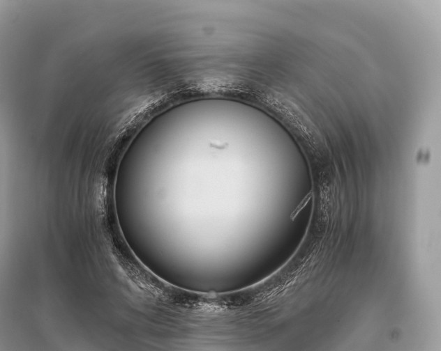 X0000096160592200801251129