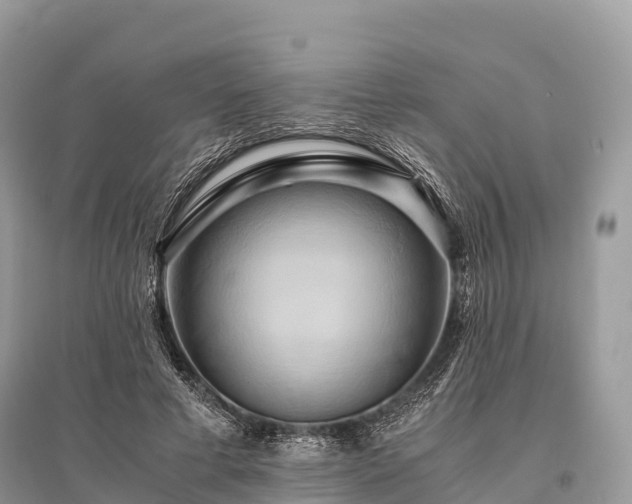 X0000096160593200801251129