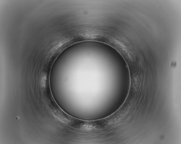 X0000096160596200801251129