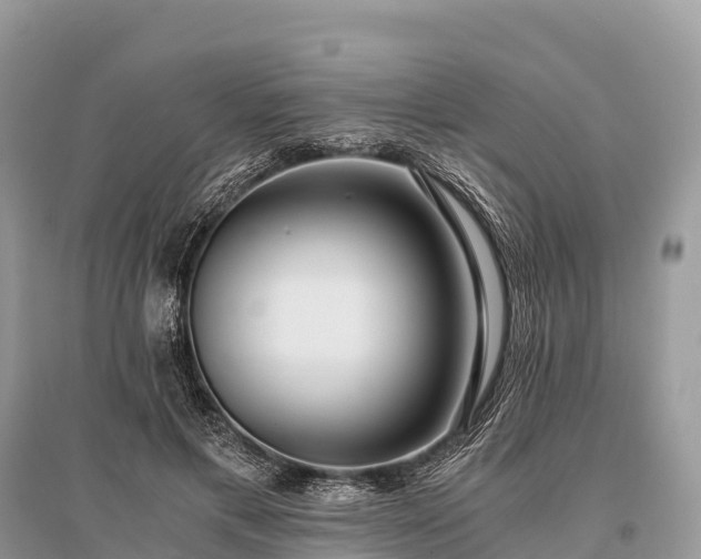 X0000096160597200801251129