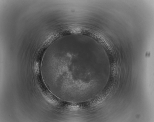 X0000096160598200801251129