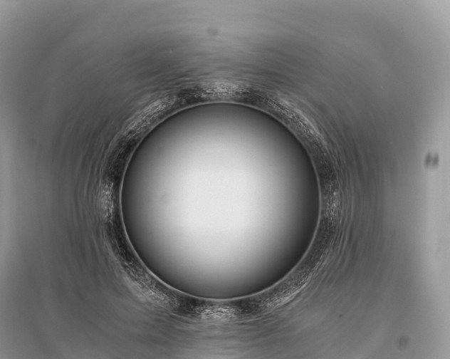 X0000096160599200801251129