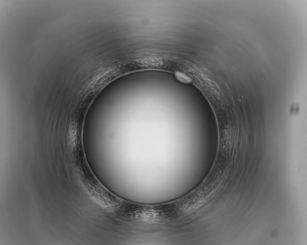X0000096160600200801251129