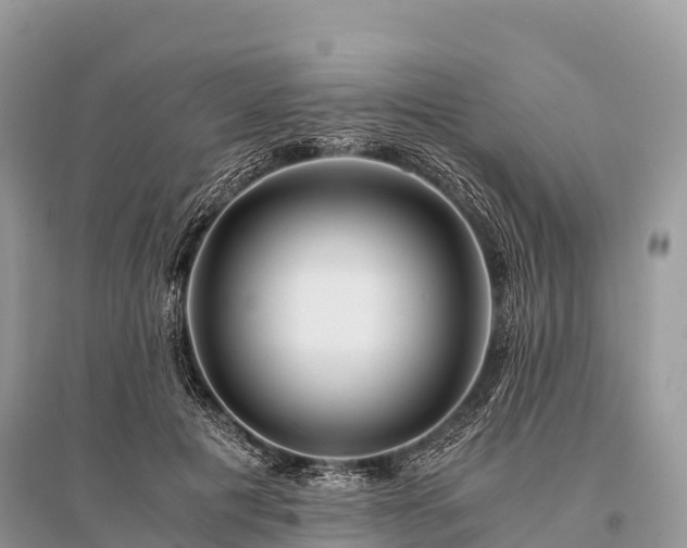 X0000096160601200801251129