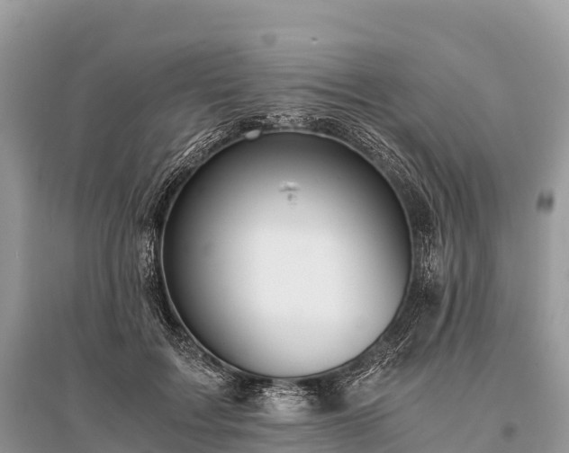X0000096160603200801251129