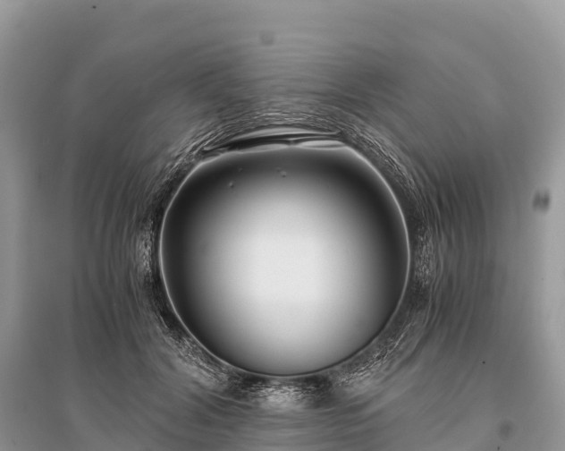 X0000096160604200801251129