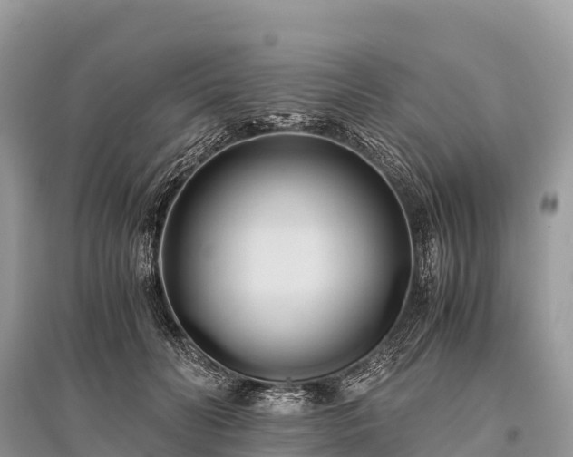 X0000096160606200801251129