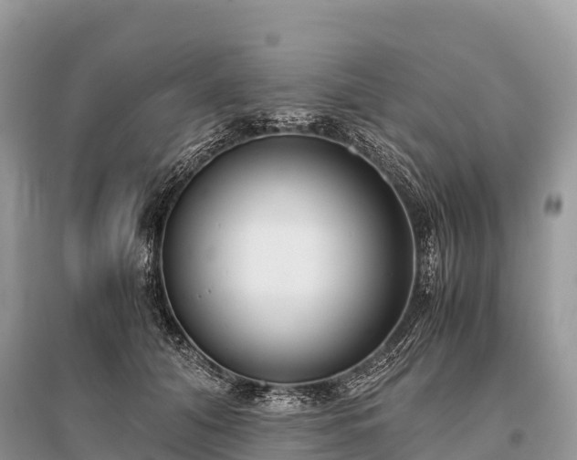X0000096160608200801251129