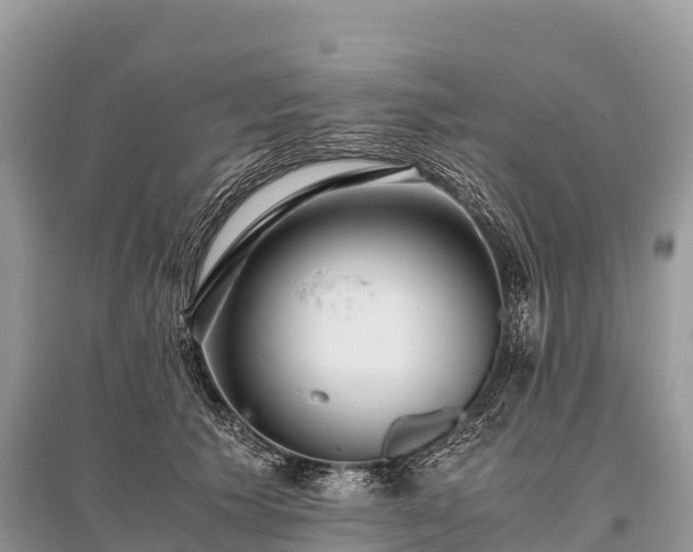 X0000096160609200801251129