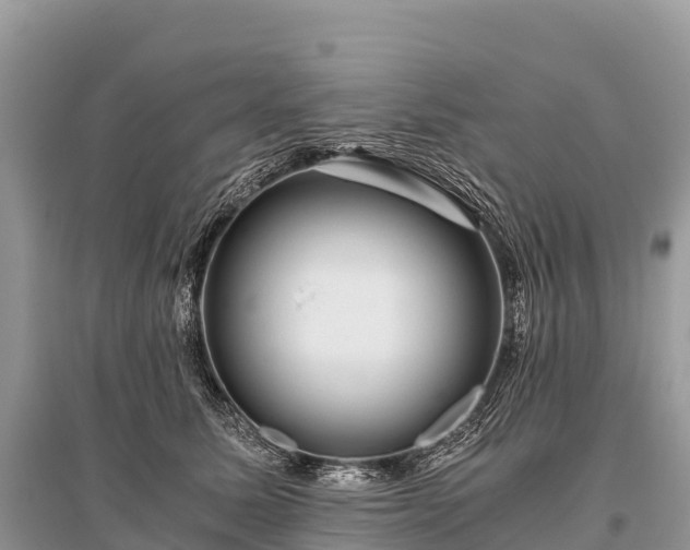 X0000096160611200801251129