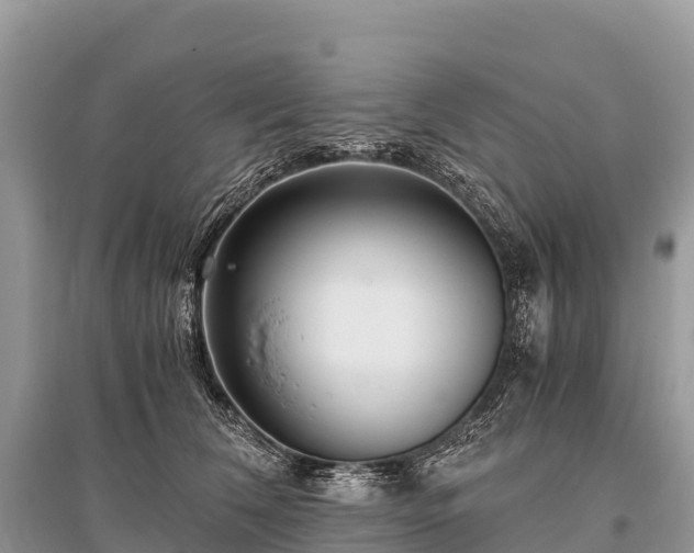 X0000096160612200801251129