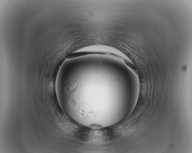 X0000096160613200801251129