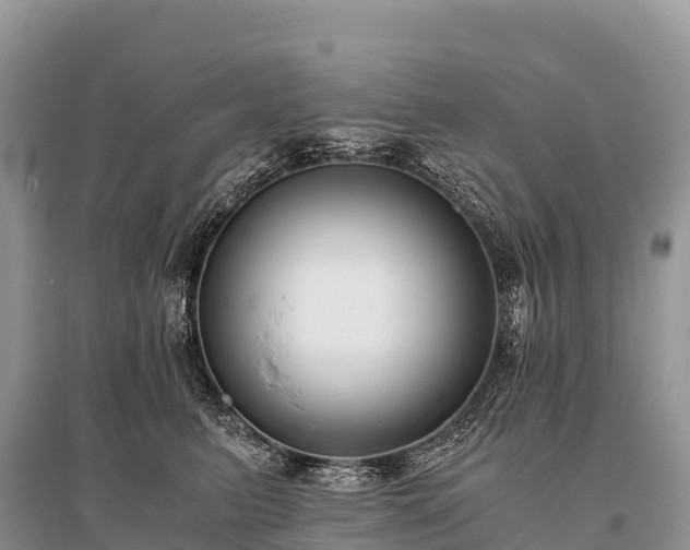 X0000096160615200801251129