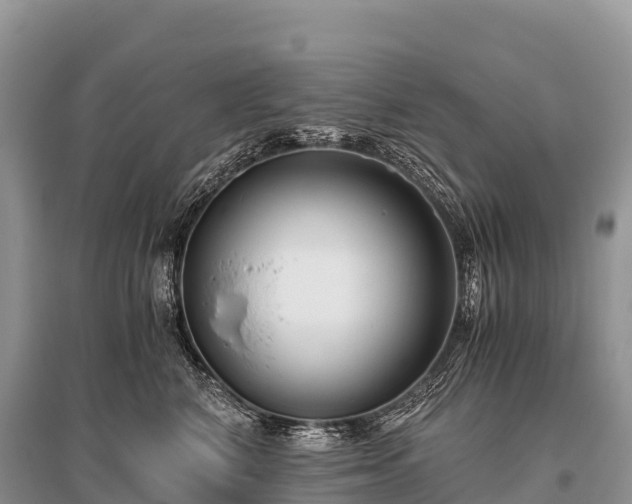 X0000096160616200801251129