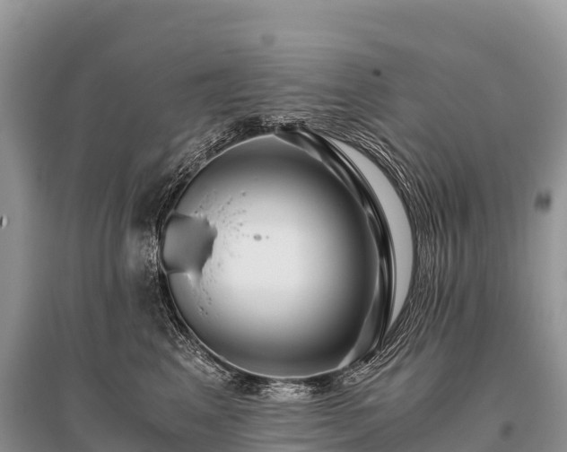 X0000096160617200801251129