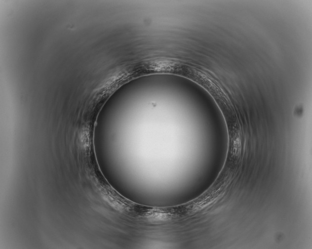 X0000096160620200801251129