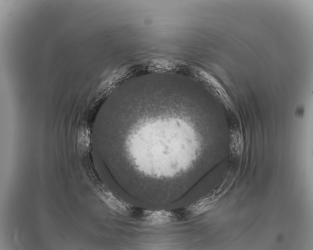 X0000096160621200801251129