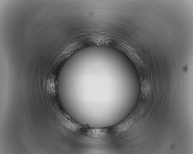 X0000096160622200801251129