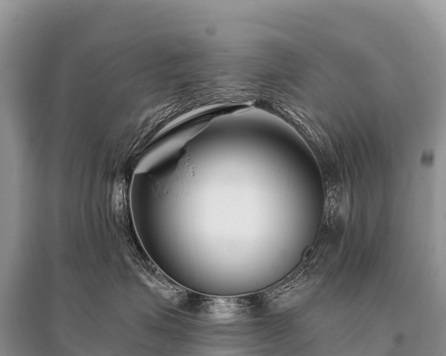 X0000096160623200801251129