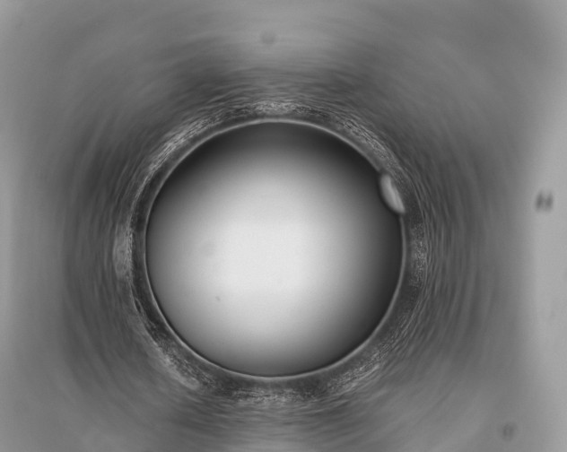 X0000096160626200801251128