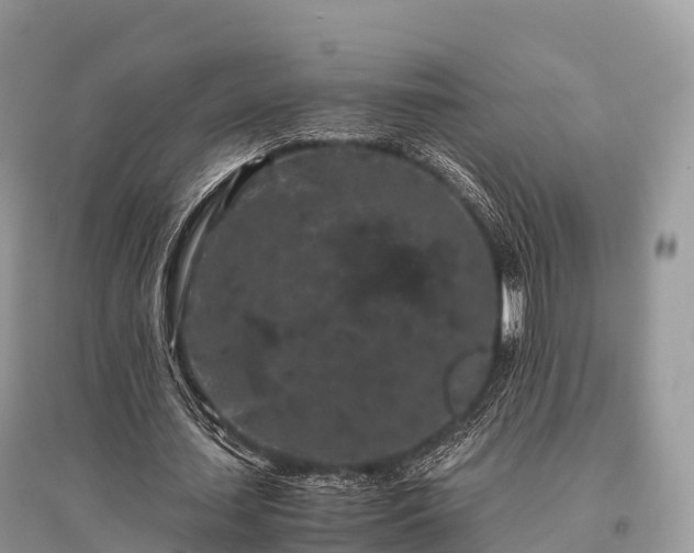 X0000096160627200801251128