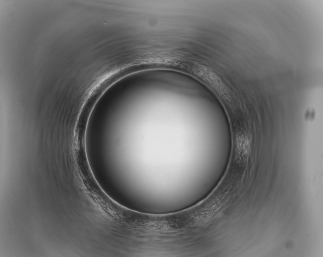 X0000096160628200801251128