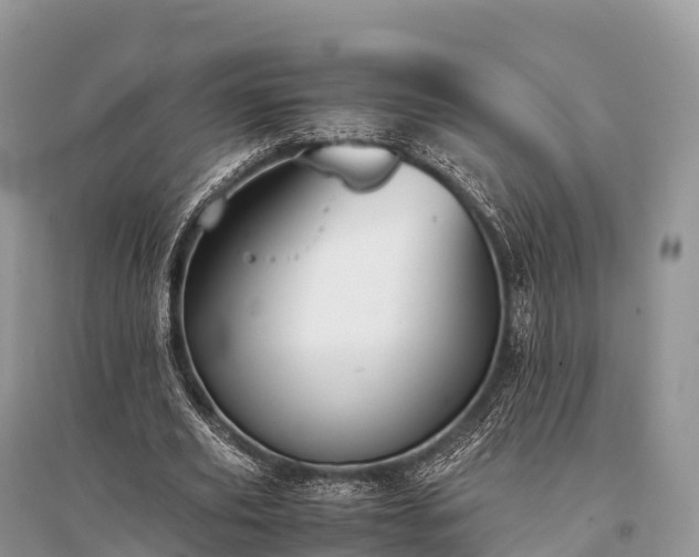 X0000096160629200801251128
