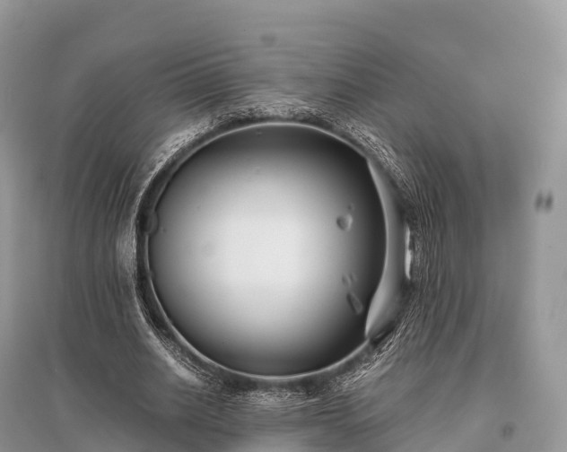 X0000096160630200801251128