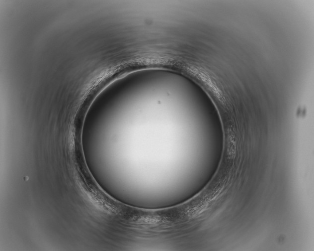 X0000096160631200801251128